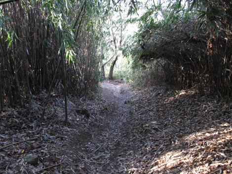 20131223hike (128)